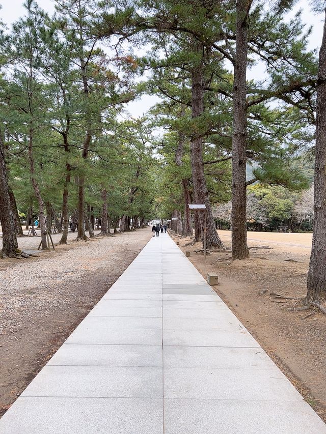 【島根/出雲大社】一度は行ってみたかった縁結びの神様が祀られている神社