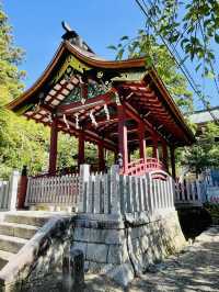 【筑波山神社/茨城県】山の日に行くのがオススメ！