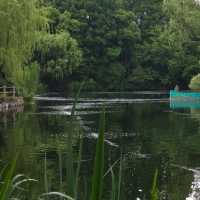 「娜麗公園：綠意盎然、錦鯉池美麗景緻，享受天然氧吧」