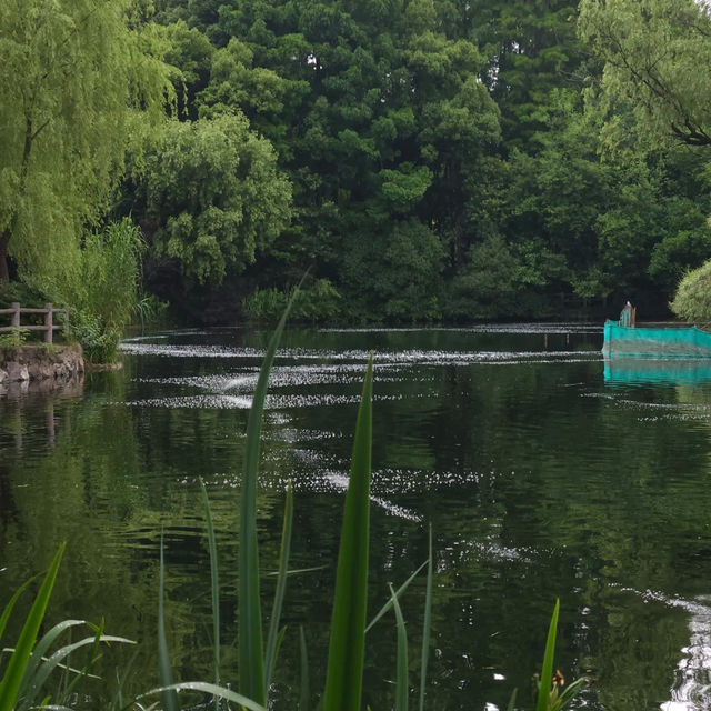 「娜麗公園：綠意盎然、錦鯉池美麗景緻，享受天然氧吧」