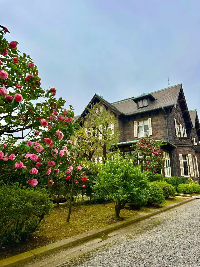 ～東京都～洋館與玫瑰絕景！舊古河庭園