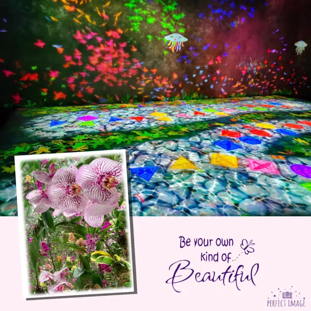 澳門幻彩燈光show❤️👍