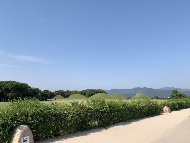 경주 여행 가볼 만한 곳