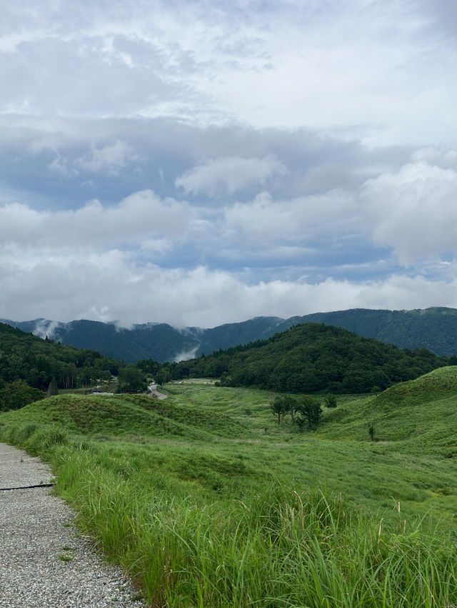 兵庫　夏がオススメ！砥峰高原🌳