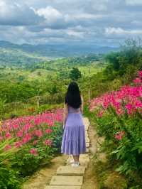 A day tour in a city where the mountains meets the sea: Cebu City Philippines
