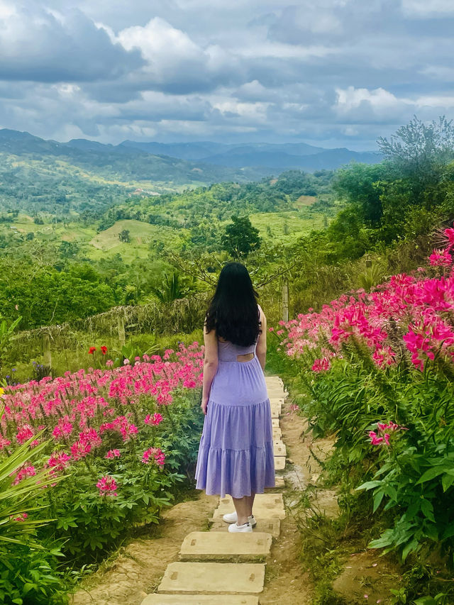 A day tour in a city where the mountains meets the sea: Cebu City Philippines