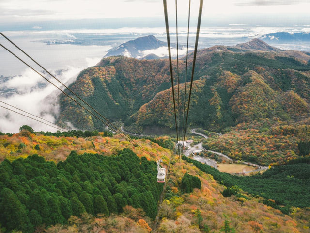 ขึ้นกระเช้าไปชมวิวใบไม้เปลี่ยนสีที่ Mount Tsurumi 