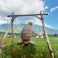 動物迷蹤稻翼之歌