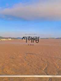 🌅아름다운 서해의 노을을 즐길 수 있는 곳