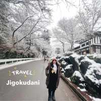 Jigokudani (Snow) Monkey Park ดูน้องลิงแช่ออนเซ็น🐵