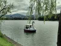福岡旅行：大濠公園行下好relax