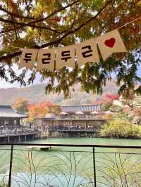 🌳🏠사진명소 곤지암 화담숲 가을에 추천해요💛