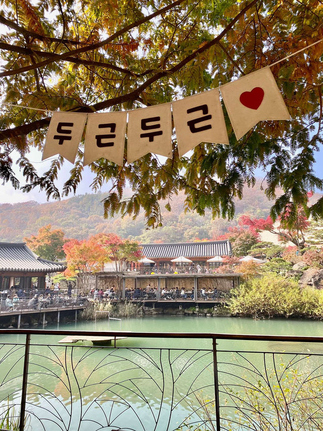 🌳🏠사진명소 곤지암 화담숲 가을에 추천해요💛