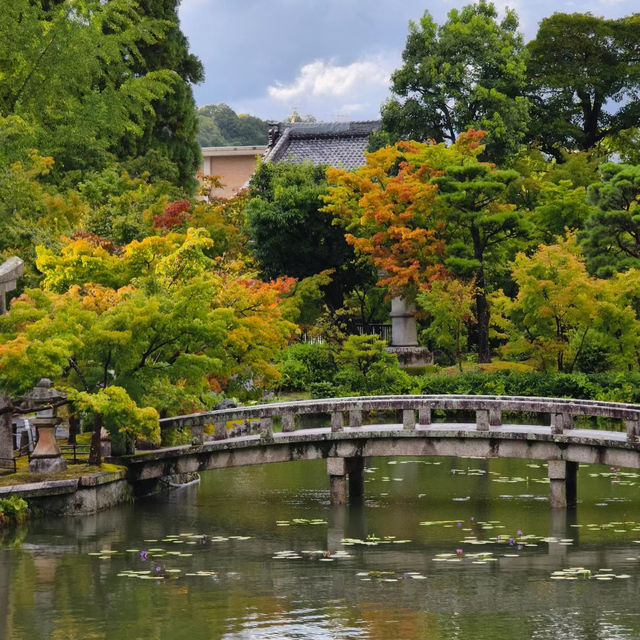 【大阪景點】西之丸庭園：雨中迷人景色～享受日本庭院風情