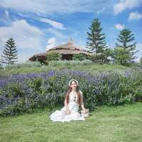 คาเฟ่เปิดใหม่ เขาใหญ่