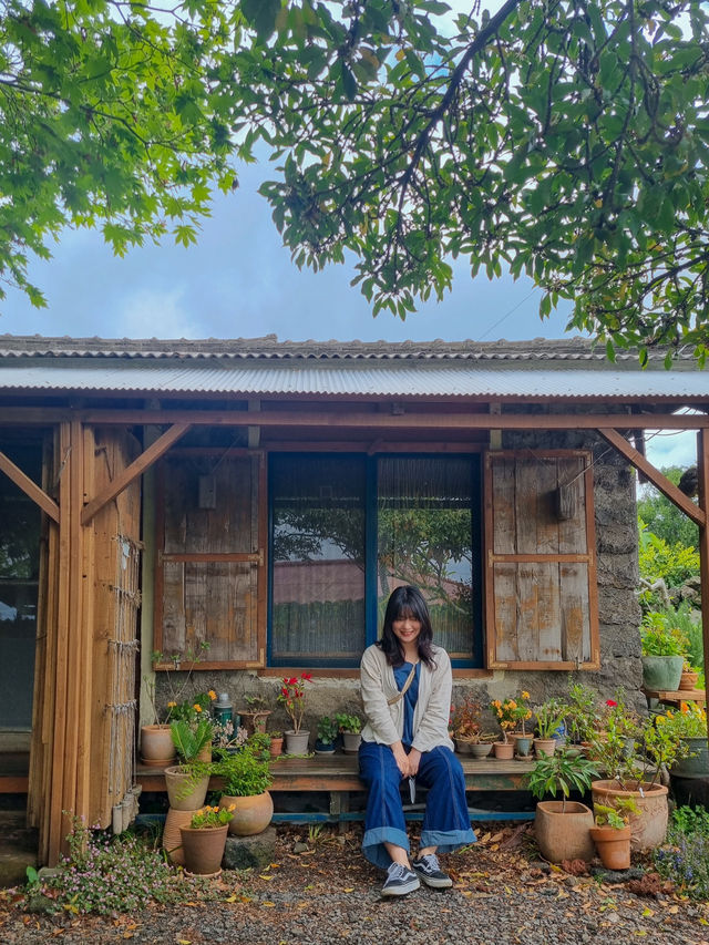 제주도 10만원대 감성숙소 모음✨