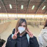 สุสานจิ๋นซีฮ่องเต้