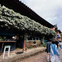 Quirky finds in cosy old town