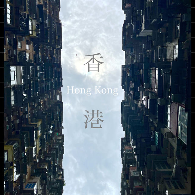 【香港🇭🇰】魅惑のひとりぶらりグルメ旅（グルメ編）