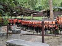 น้ำตกเอราวัณ จ.กาญจนบุรี