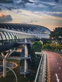 Golden Hour at Jewel Changi Airport: A Family Experience