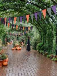 【横浜】イングリッシュガーデンのハロウィンディスプレイ