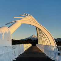 Mt Fuji in New Zealand