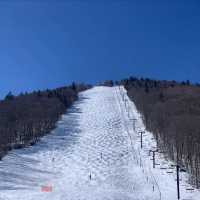 新雪谷村滑雪勝地：冬季運動的天堂⛷️❄️🏔️