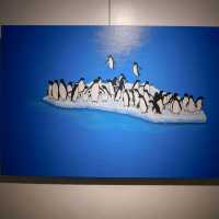 ส่องนิทรรศการของคนรักษ์โลกที่ Play art house 