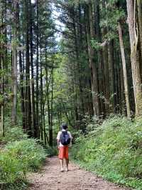 Magome Pass: Japan’s Most Famous Hiking Route 🥾