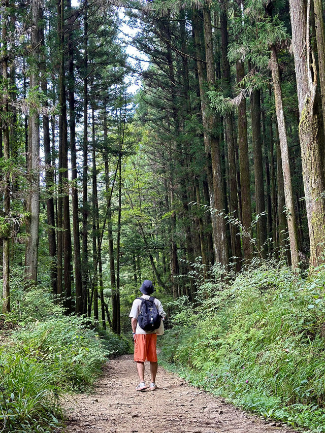 Magome Pass: Japan’s Most Famous Hiking Route 🥾