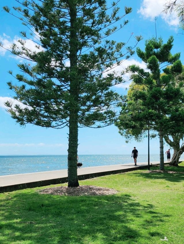 🇦🇺 Popular Waterfront Cafe in Sandgate, Queensland, Australia