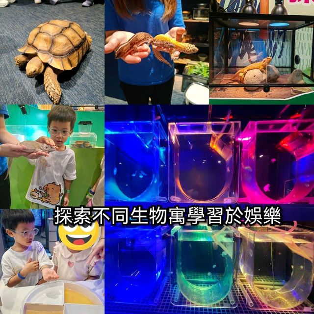 荃灣市中心浩海立方探遊館探索不同生物