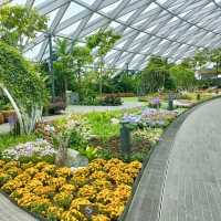 Canopy Park at Jewel Changi 