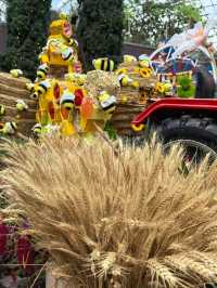 Australian Carnival of Flowers at Flower Dome