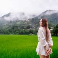 🌾ที่พักวิวดี ทุ่งนาเขียวทอดยาว และภูเขาเคล้าสายหม