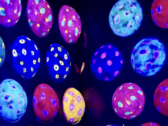 福岡TeamLab 森林-以森林為主題的沉浸式藝術展覧