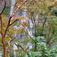 น้ำตกอูไหล Wulai Falls