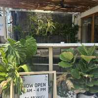 Cafe Organic Bali: A Plant-Based Paradise