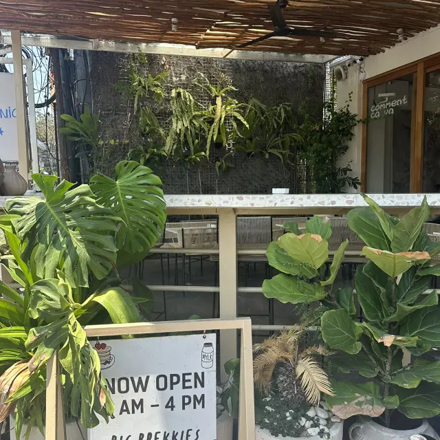 Cafe Organic Bali: A Plant-Based Paradise