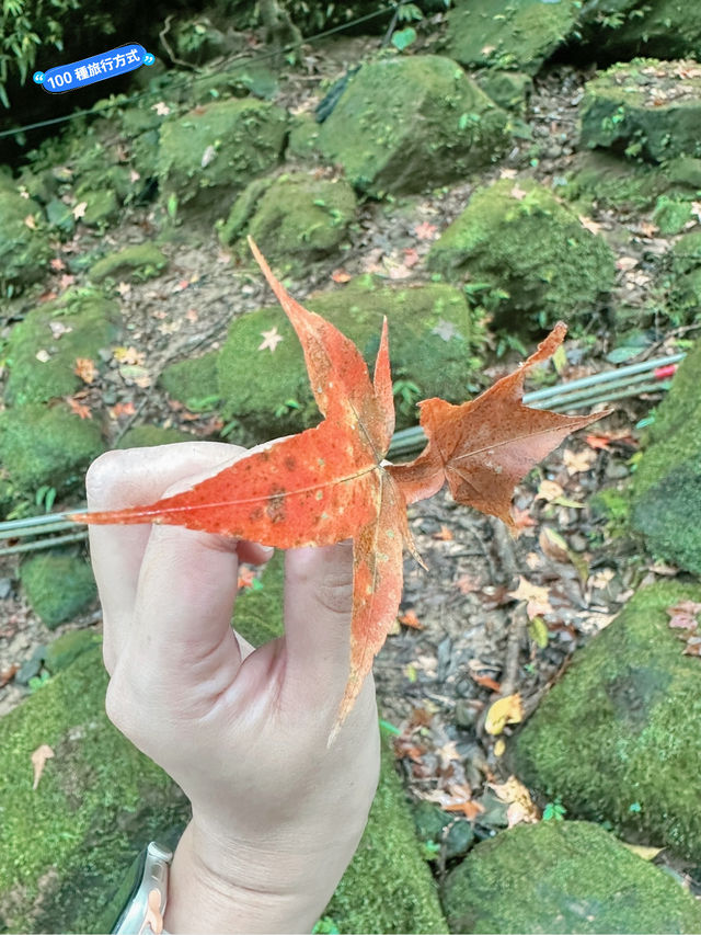 難度其實不高，但步步會讓你覺得驚險刺激在挑戰膽量的孝子山！