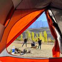 Apricot Oasis Delight: Camping in Hunza Valley