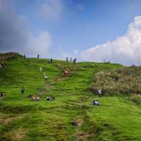Exploring Yang Ming Shan with a Local Guide 