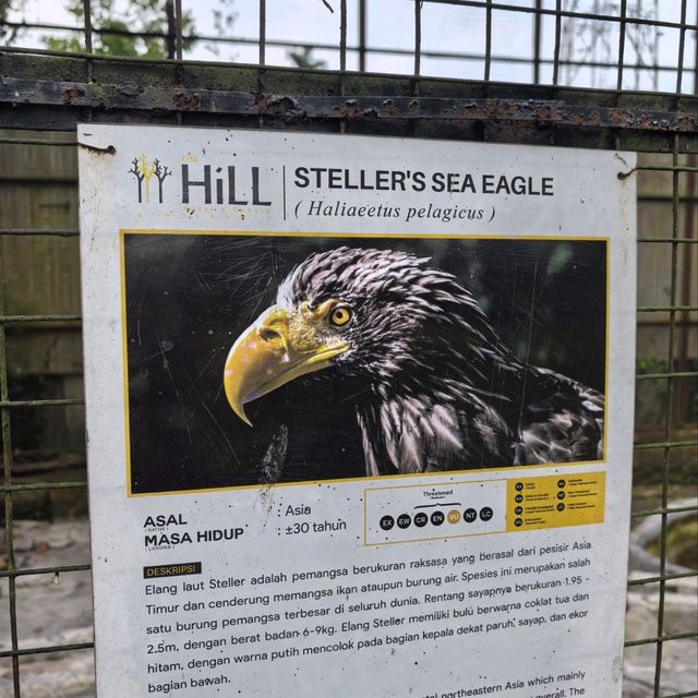 Awesome resort with a mini zoo