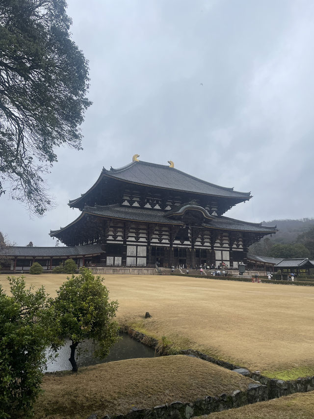 NARA🦌 in One Day: Where History and Nature Embrace