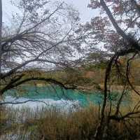 日本/東北/日本九寨溝~五色沼 賞楓的好地方~風景很美