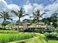 Top 5 ลักชูว์รีสอร์ทที่สุดใน Bali 🍂เป็นแบบนี้เอง