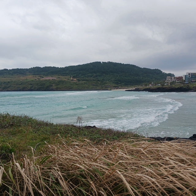 끝없이 펼쳐진 파란 바다, 제주 함덕 해수욕장🌊💙