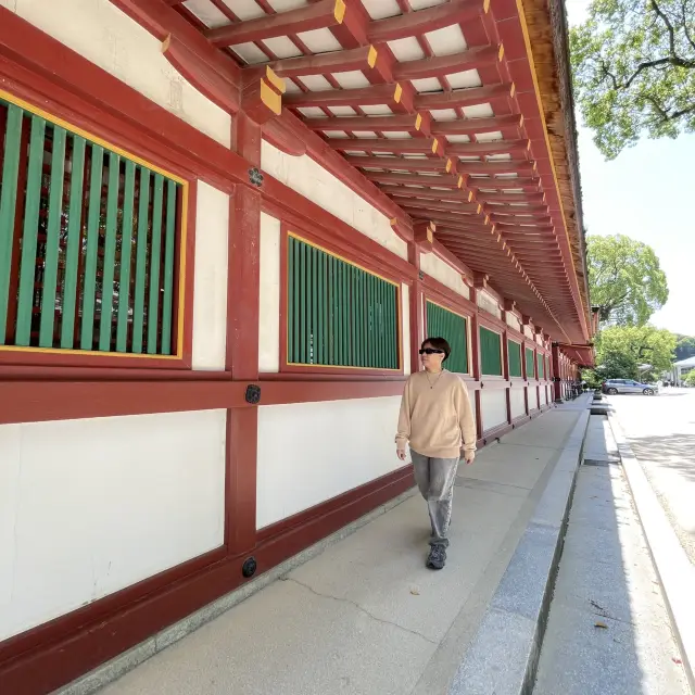 Fukuoka City 8 Days Must-Play Travel Guide Recommendations!