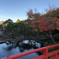 🇯🇵【島根県】由志園！！紅葉シーズンが更に美しい✨